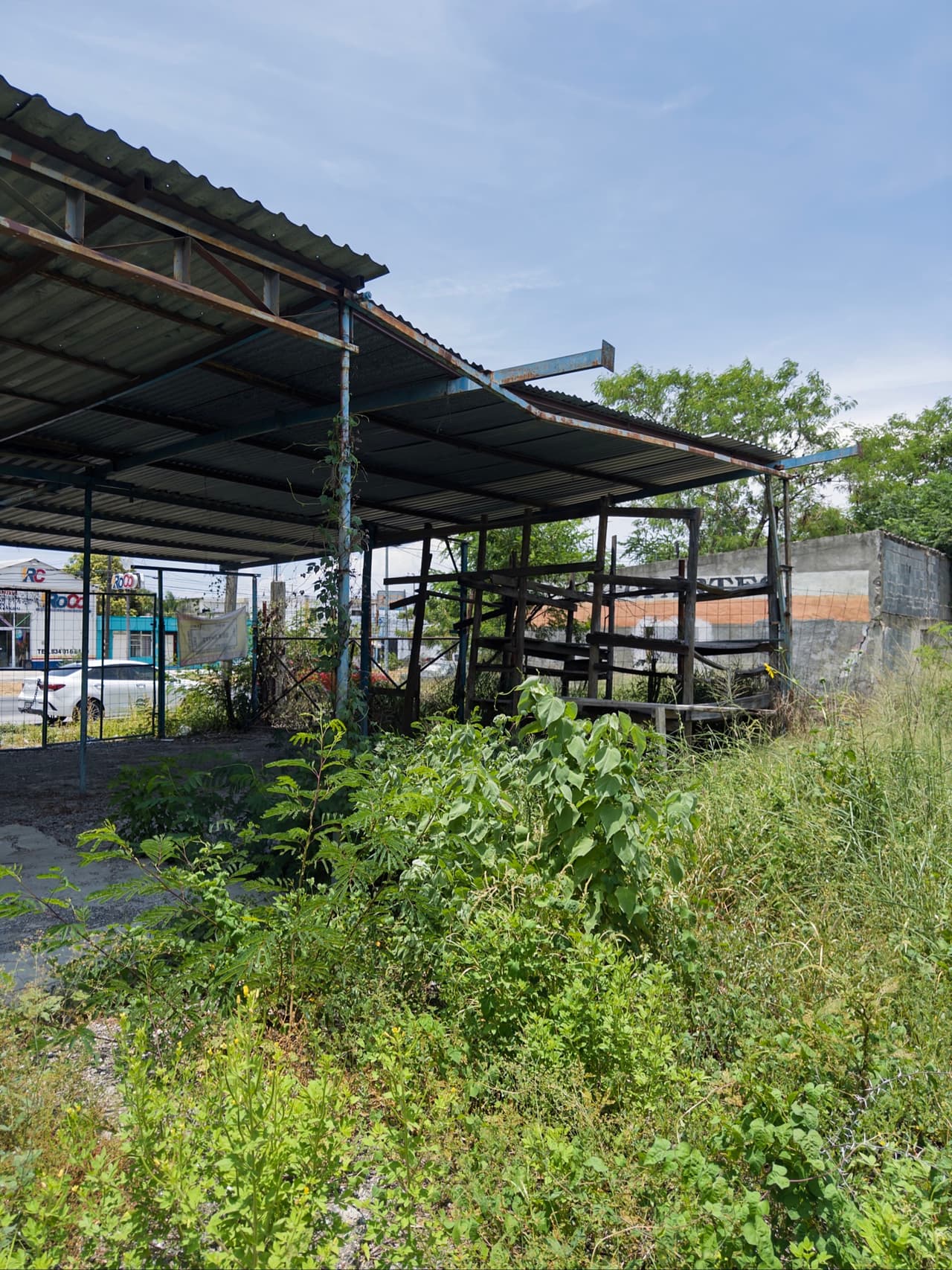 Terreno en renta en Adolfo López Mateos, Victoria · 850 m² — foto 5