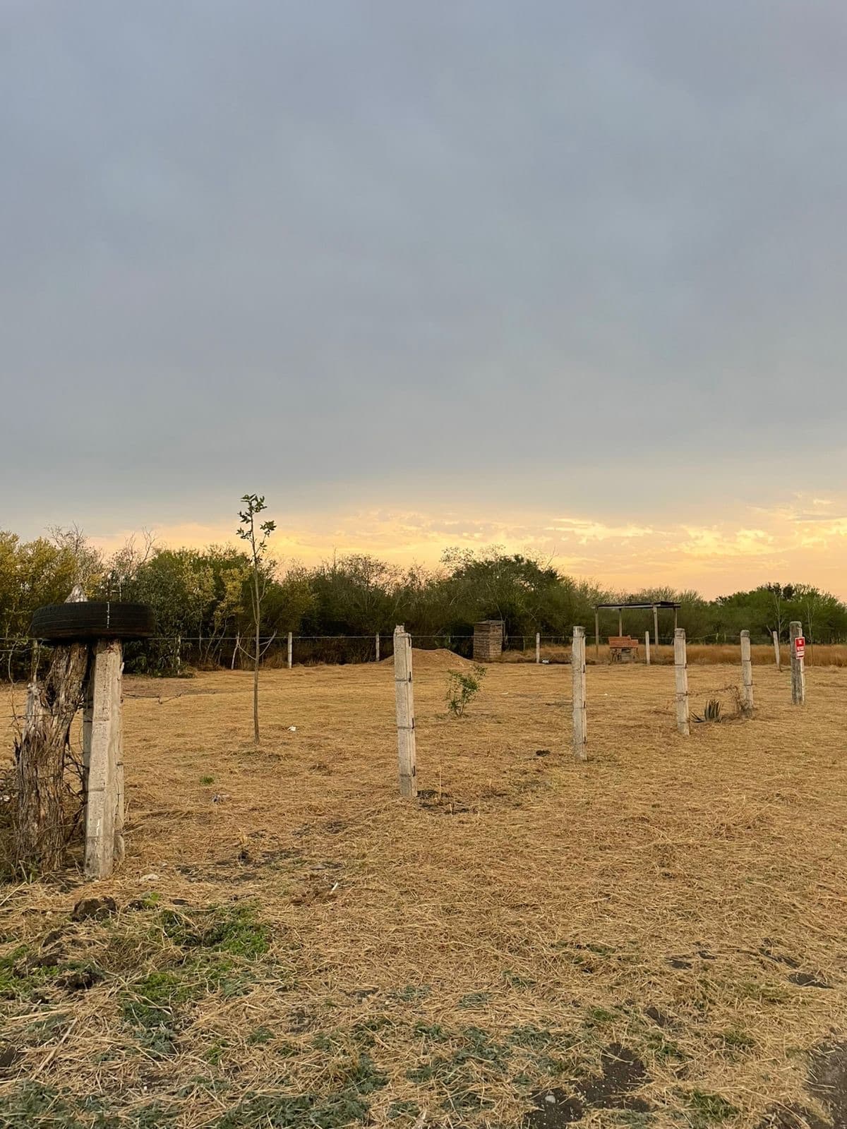 3 terrenos juntos en Santa Clara — $90,000 c/u — foto 1
