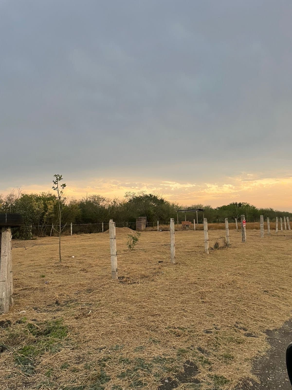 3 terrenos juntos en Santa Clara — $90,000 c/u — foto 2